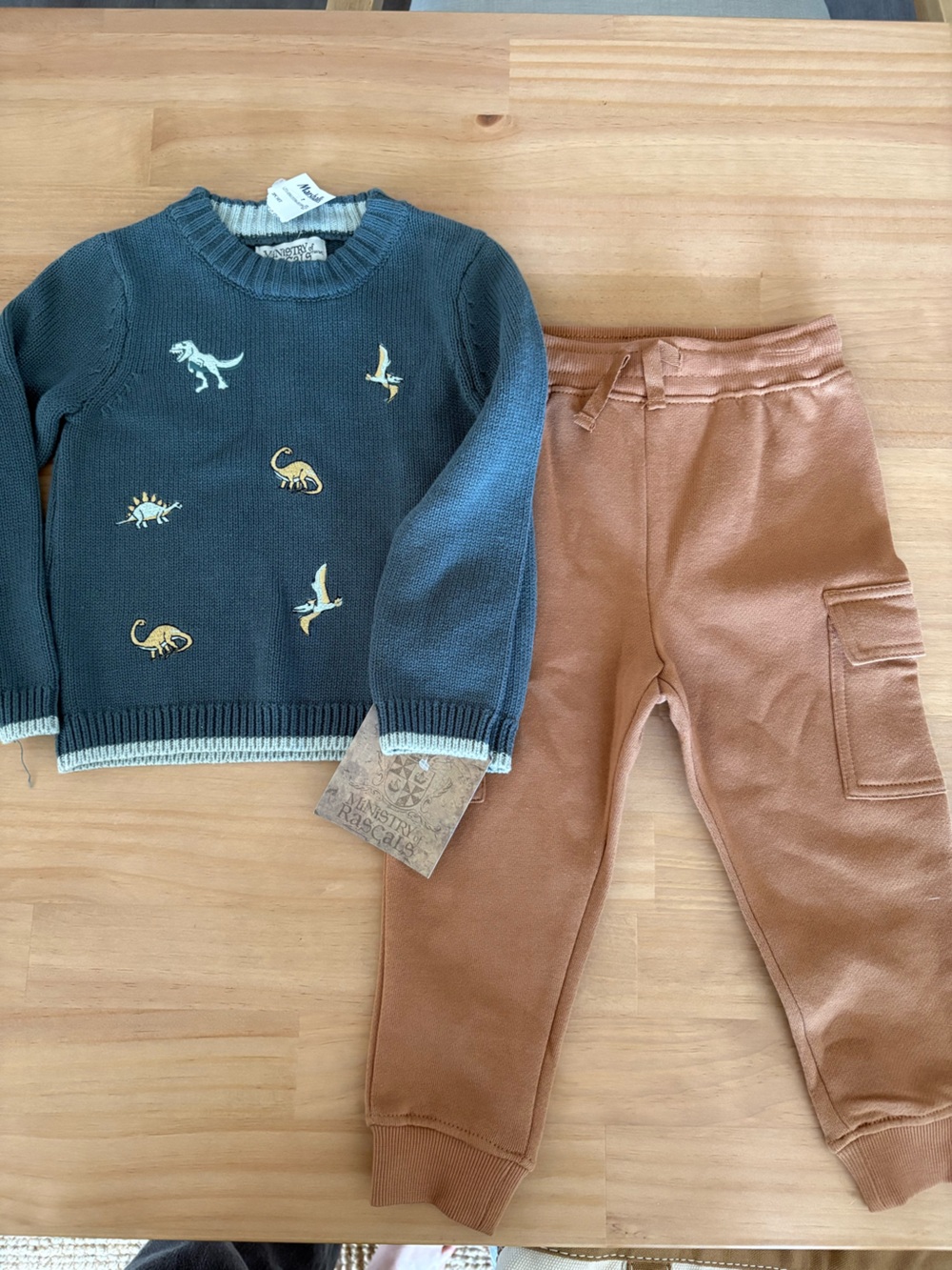 Dinosaur Sweater and Pants Set